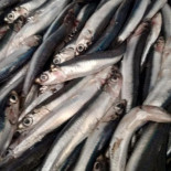 Four Fish Boisson