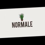 Normale Logo