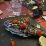 Gallura Grill Comida