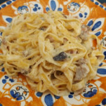 Papilla Felix