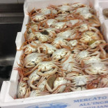 Mare Luna Comida