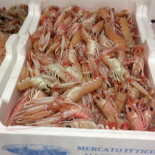 Mare Luna Comida