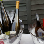 Allegra Weinbar Ansitz Schreckenstein Boisson