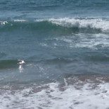 Dove Inizia Il Mare Carta