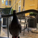 La Piazzetta Bebida