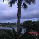 La Colomba Tropical Garden