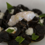 T_imo Cibo