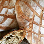 Trattoria Paesana Comida