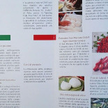 Accademia Della Pizza Carta