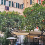 Da Nicò Trattoria Del Porto Dal 1935