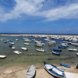 Cooperativa Pescatori Del Levante