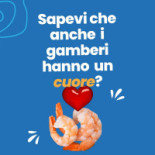 Cooperativa Pescatori Del Levante logo