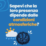 Cooperativa Pescatori Del Levante menu