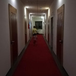 Shotel Bebida