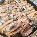Il Pellicano Nourriture