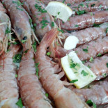 Il Pellicano Nourriture