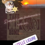 Old Wild West Carta