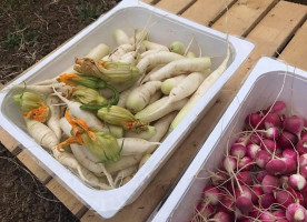 Pizzeria Gallu Che Pizza