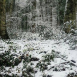 Sollievo outside
