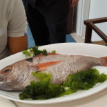 Acqua Sale Comida