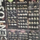 Sushiko Segrate Carte