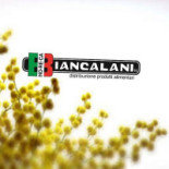 Biancalani Logo