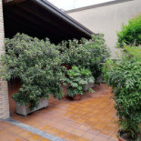 Al Pertegà Extérieur