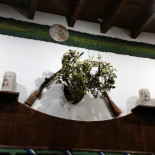 Bier Himmel À l'intérieur