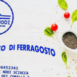 Venti Nodi Logo