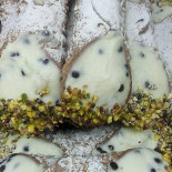 Pasticceria Lopes Nourriture