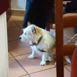 Focacceria Extra89 Bebida