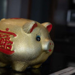 Panda Bebida