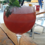 Ganzo Bebida