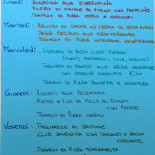 Garibaldi Carta