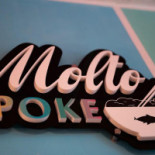 Molto Molto Ghost Logo
