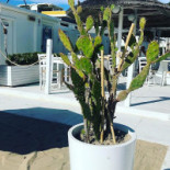 Twenty Beach Extérieur