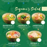 Sagami Siena Carte