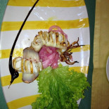 Refood Nourriture
