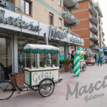 Masci Exterior