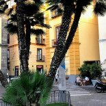 Syrenuse Exterior