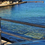 White Torre A Mare Exterior