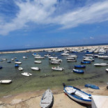 Cooperativa Pescatori Del Levante