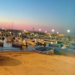 Cooperativa Pescatori Del Levante