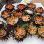 La Piazzetta Fishbar Nourriture