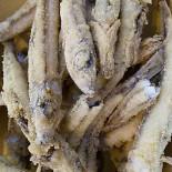 Calypso Fish Crock Nourriture