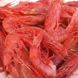 Calypso Fish Crock Nourriture