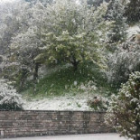 Genziana outside