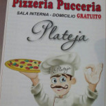 Plateja Logo