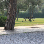 Maderno Exterior