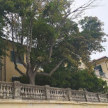 La Terrazza Exterior